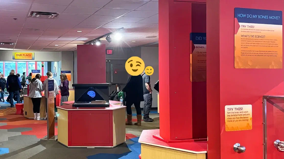 人体の仕組みを学べる3階の展示